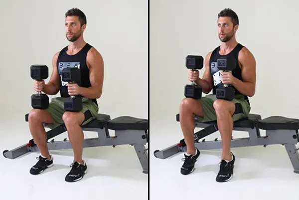20 Effective Lower Body Exercises