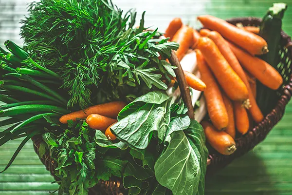 5 Nutrient-Rich Foods and Tips for Incorporating Them into Your Diet