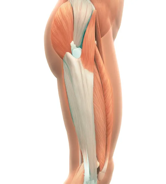 Effective Stretches to Target Your IT Band