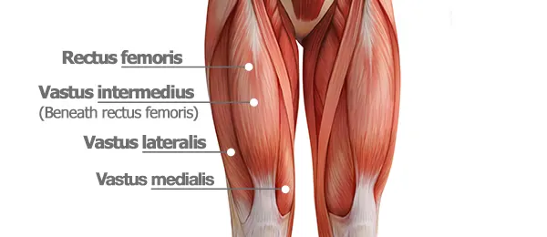 Reverse Lunge: How-To Guide, Advantages, and Modifications