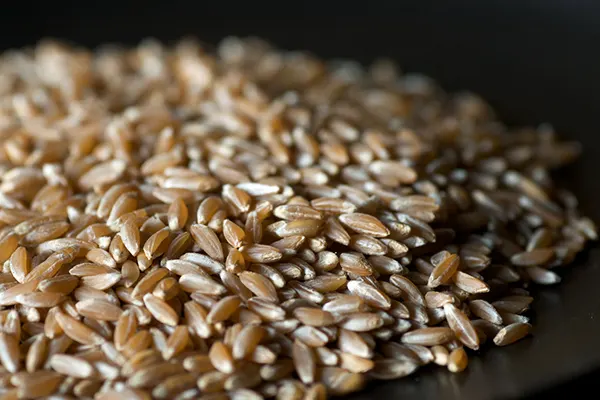 The Complete Guide to a Wheat-Free Diet
