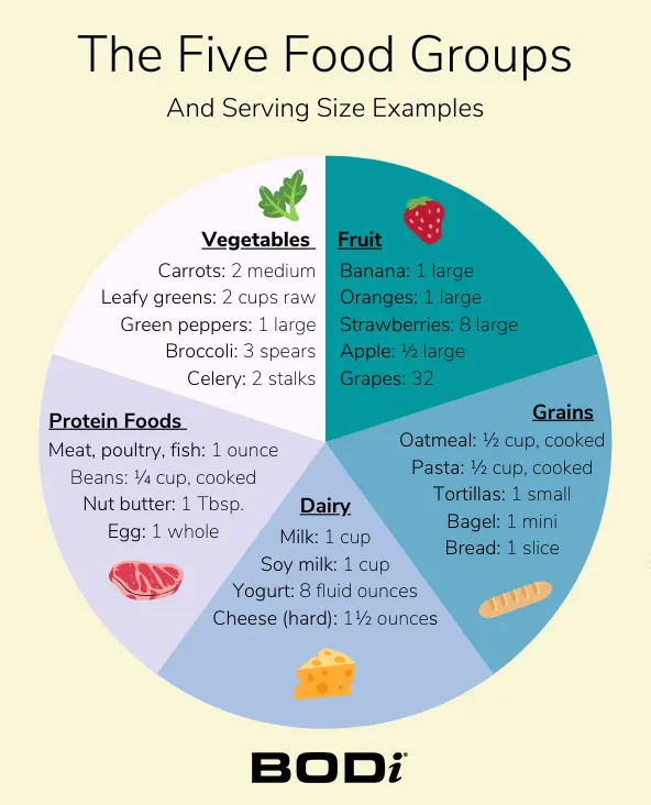 Understanding the 5 Basic Food Groups and Recommended Servings