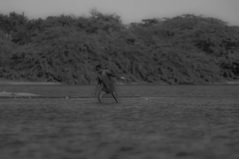 Observations on Spoiled Milk and Its Effects