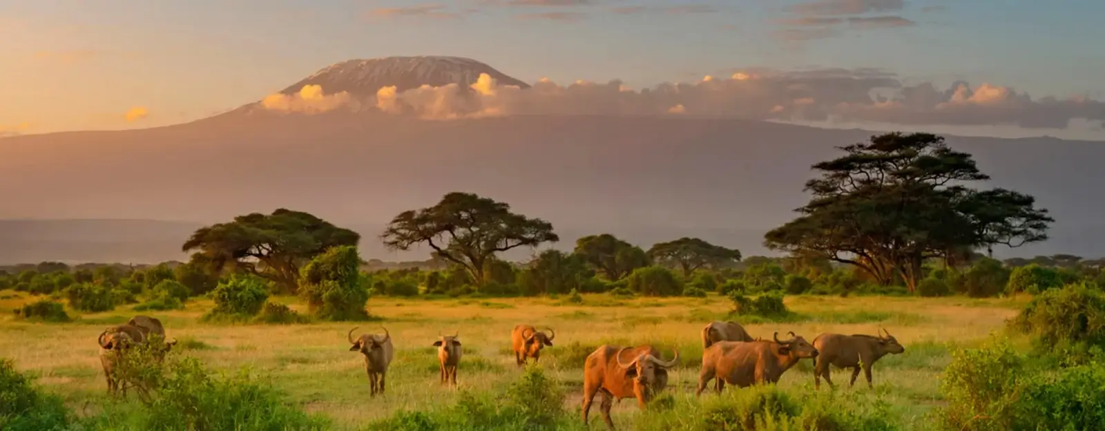 Kenya landscapes